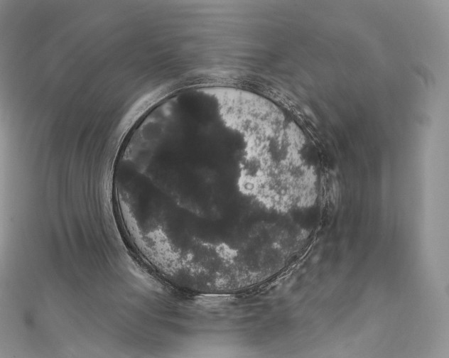 X0000111440051200908031401