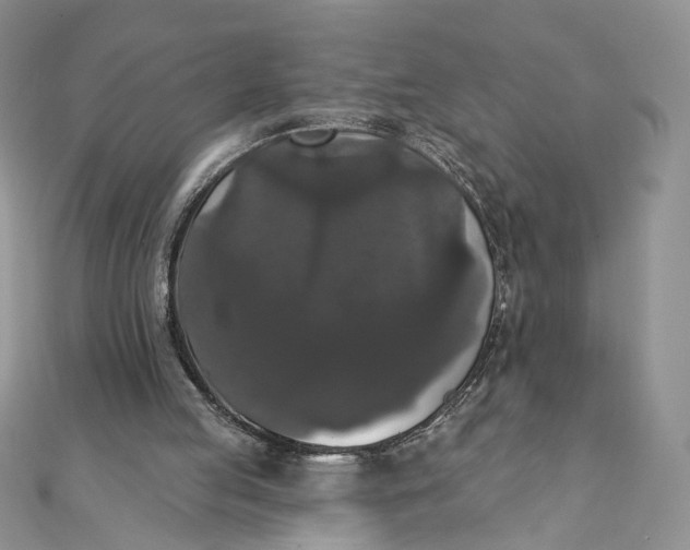 X0000111440053200908031401