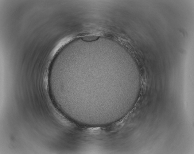 X0000111440054200908031401