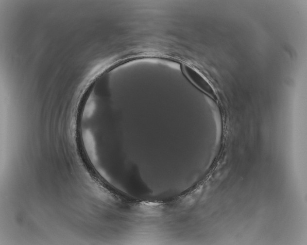 X0000111440055200908031401