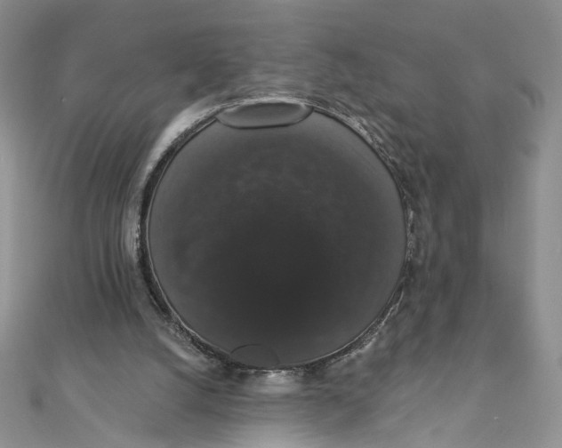 X0000111440056200908031401