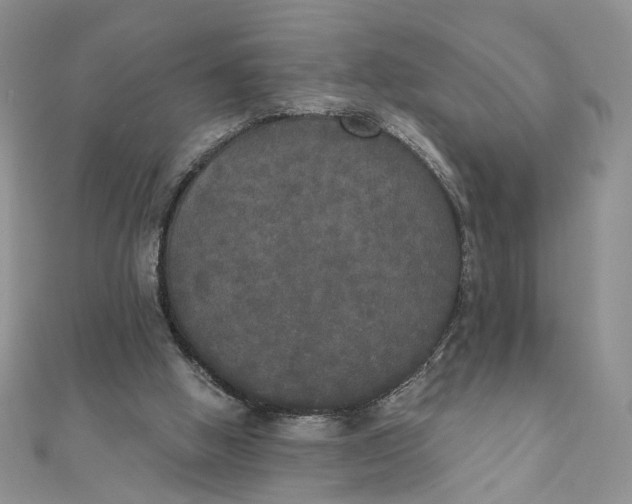 X0000111440058200908031401