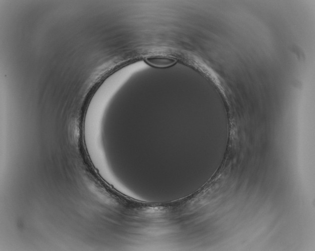 X0000111440059200908031401