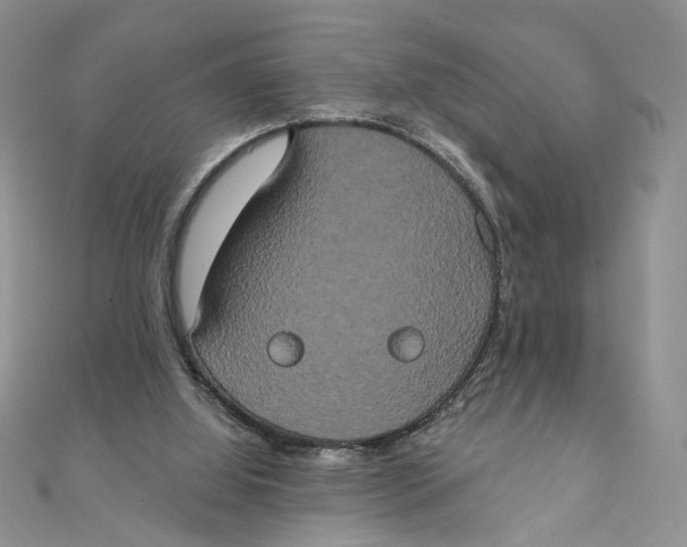 X0000111440060200908031401