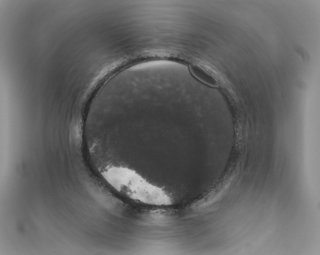 X0000111440064200908031401