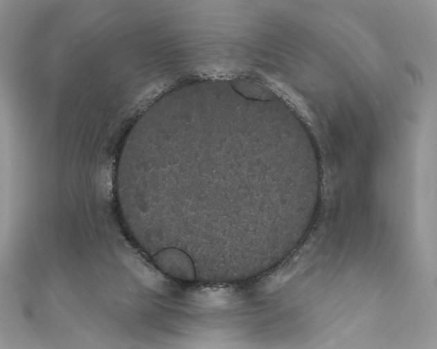 X0000111440065200908031401