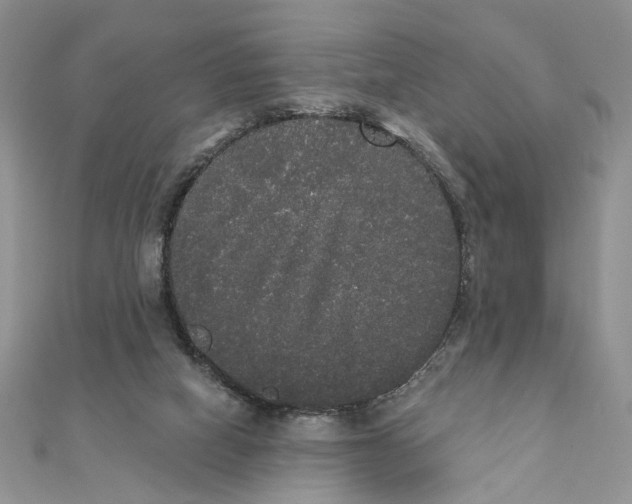 X0000111440066200908031401