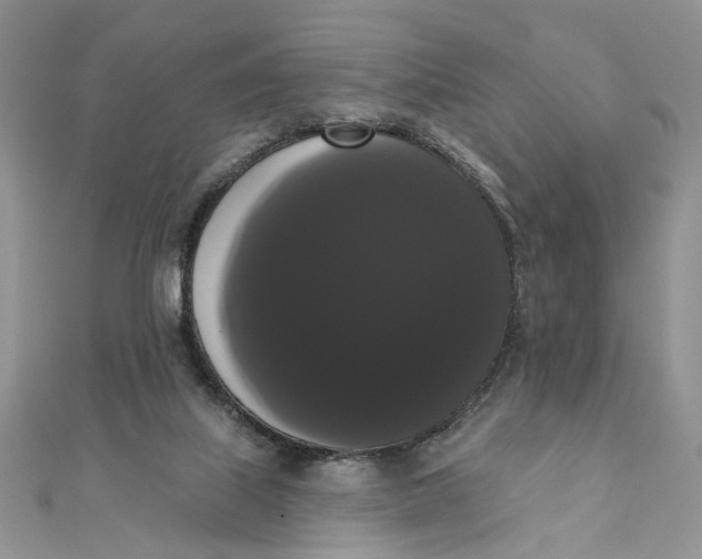 X0000111440067200908031401