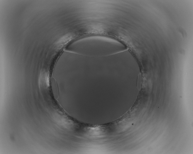 X0000111440068200908031401