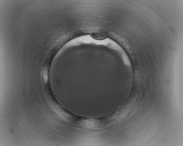 X0000111440069200908031401