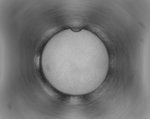 X0000111440070200908031401