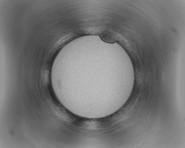 X0000111440071200908031401