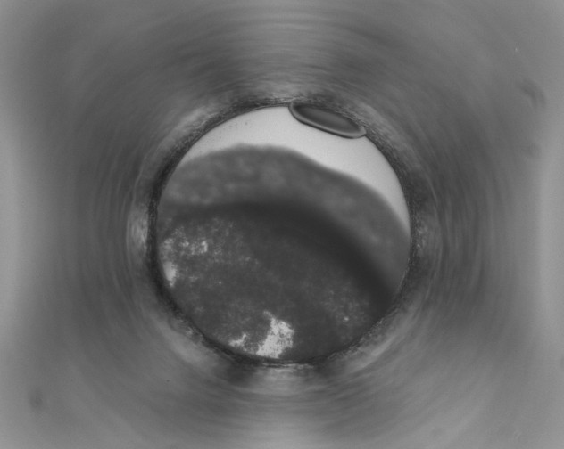 X0000111440072200908031401