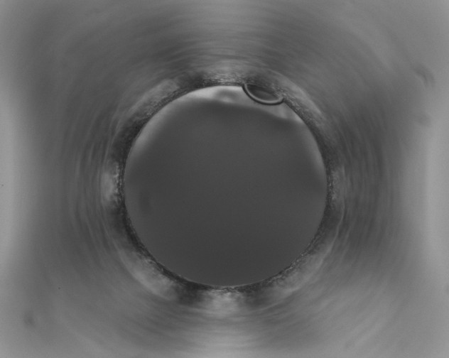 X0000111440073200908031401