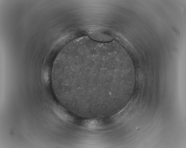 X0000111440074200908031401