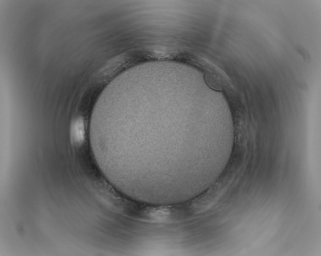 X0000111440075200908031401