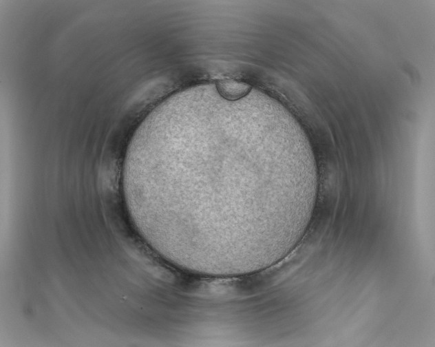 X0000111440078200908031401