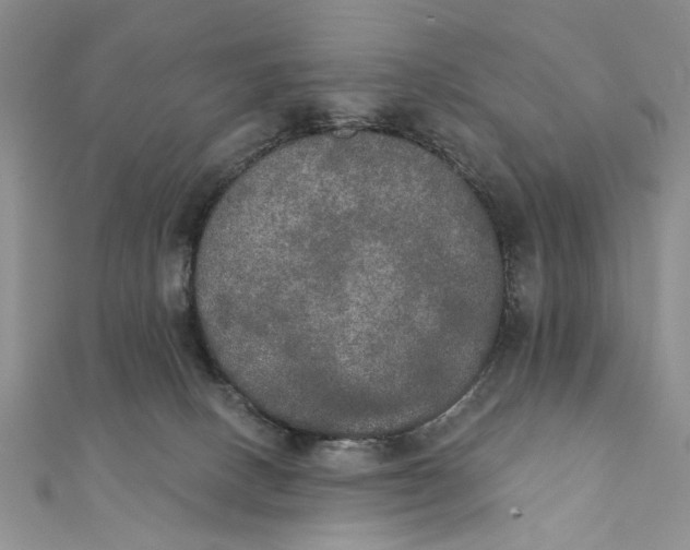 X0000111440082200908031401