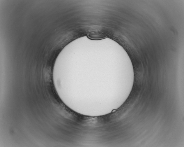 X0000111440083200908031401