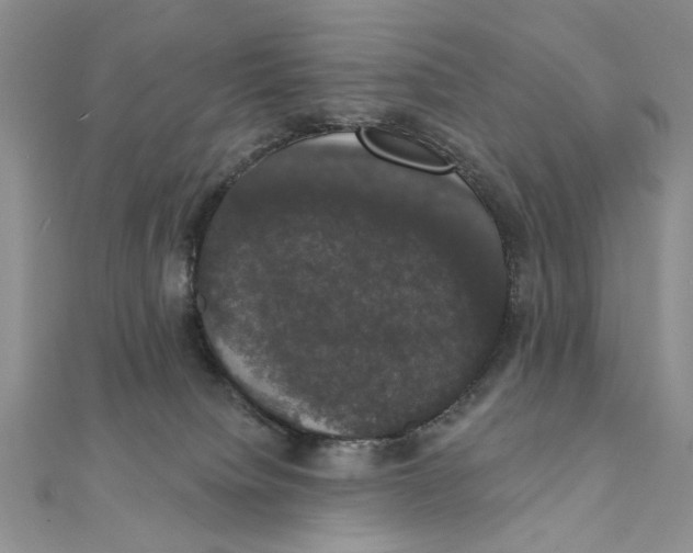 X0000111440084200908031401