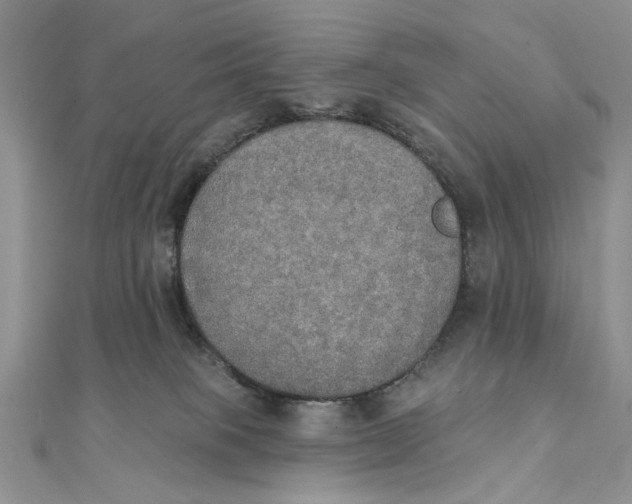 X0000111440085200908031401