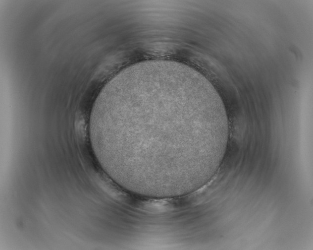 X0000111440086200908031401