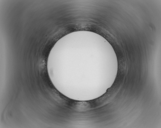 X0000111440087200908031401