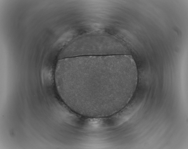 X0000111440088200908031401