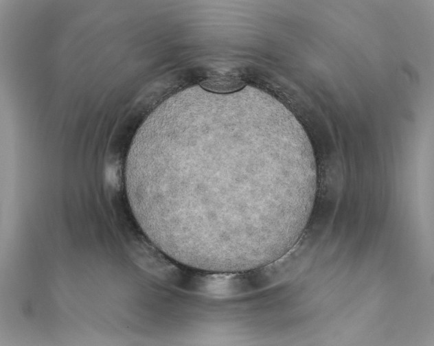 X0000111440090200908031401