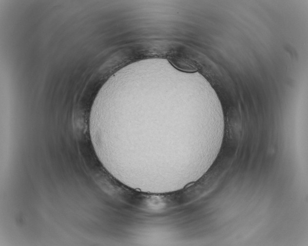 X0000111440091200908031401