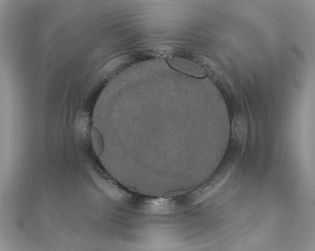 X0000111440092200908031401