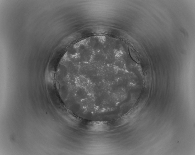 X0000111440093200908031401