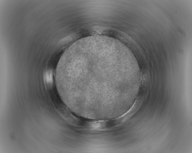 X0000111440094200908031401