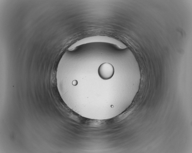 X0000111440096200908031401