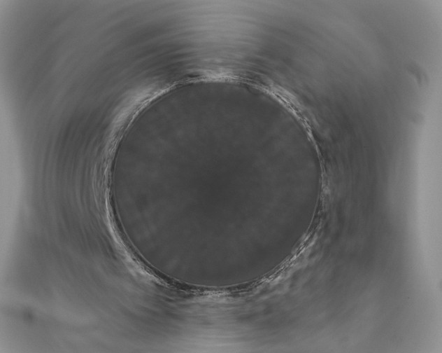 X0000111440097200908031401