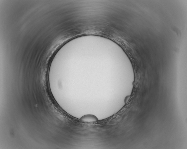 X0000111440098200908031401