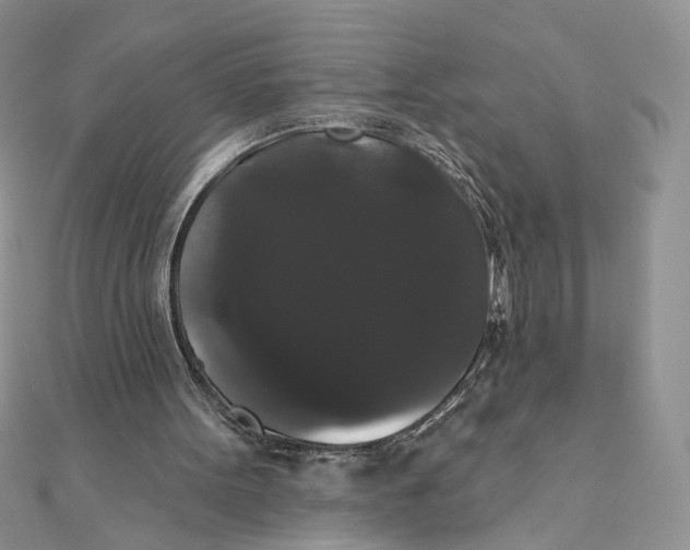 X0000111440099200908031401