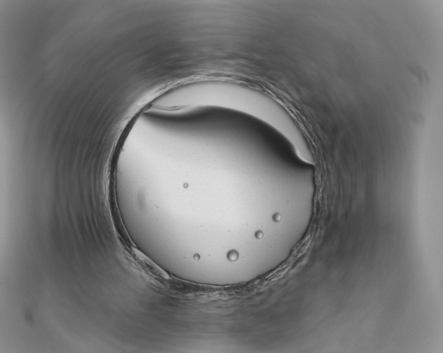 X0000111440100200908031401