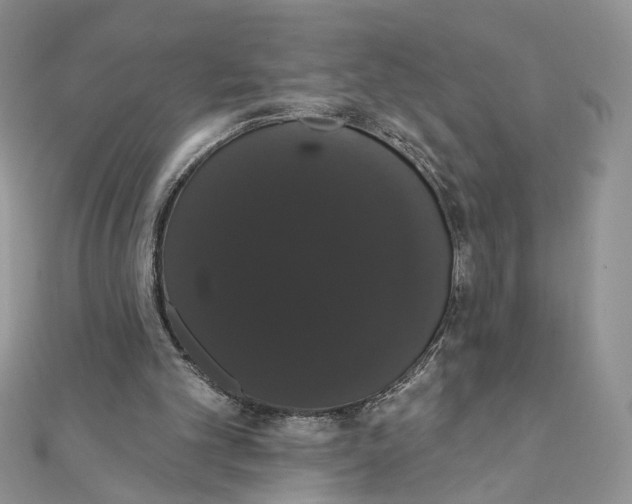 X0000111440101200908031401