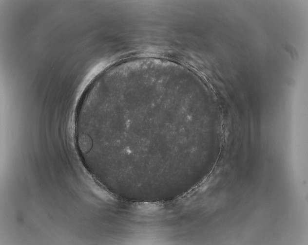 X0000111440102200908031401