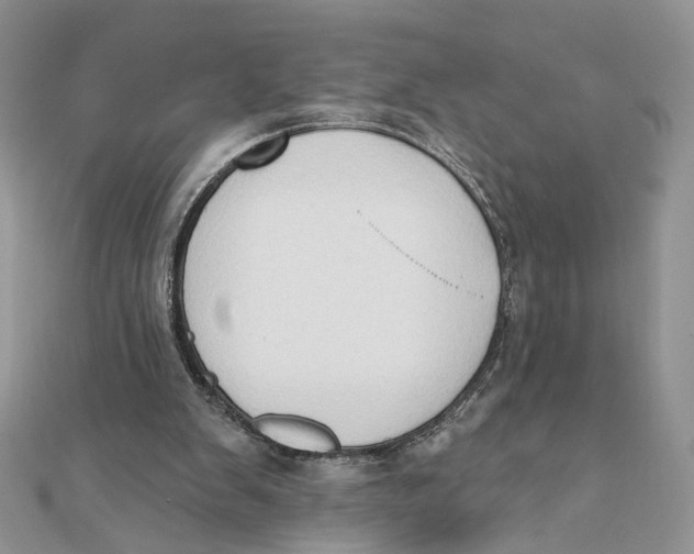 X0000111440103200908031401