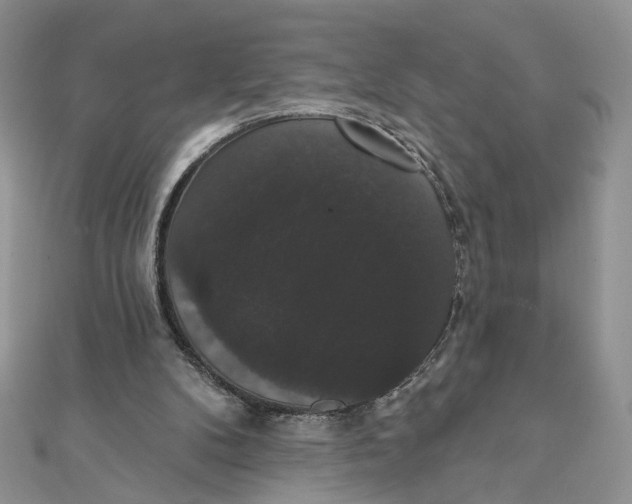 X0000111440104200908031400