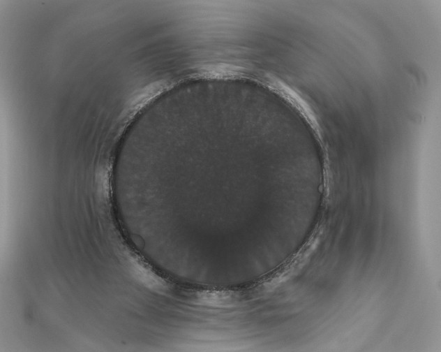 X0000111440105200908031400