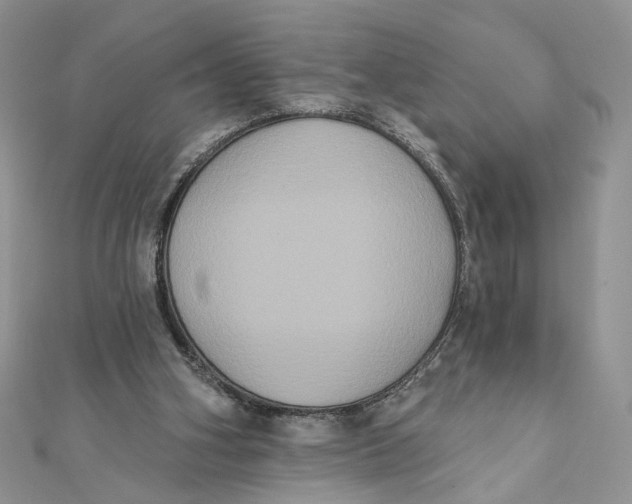 X0000111440106200908031400