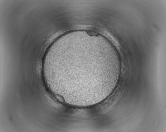 X0000111440107200908031400