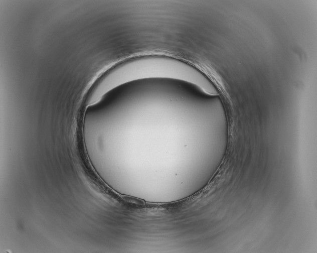 X0000111440108200908031400