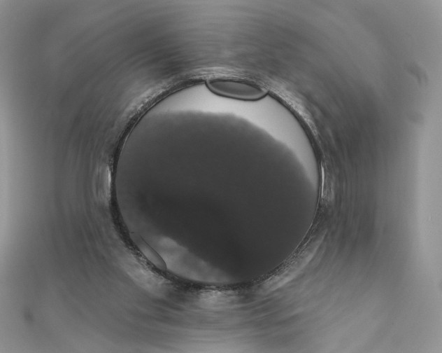 X0000111440109200908031400