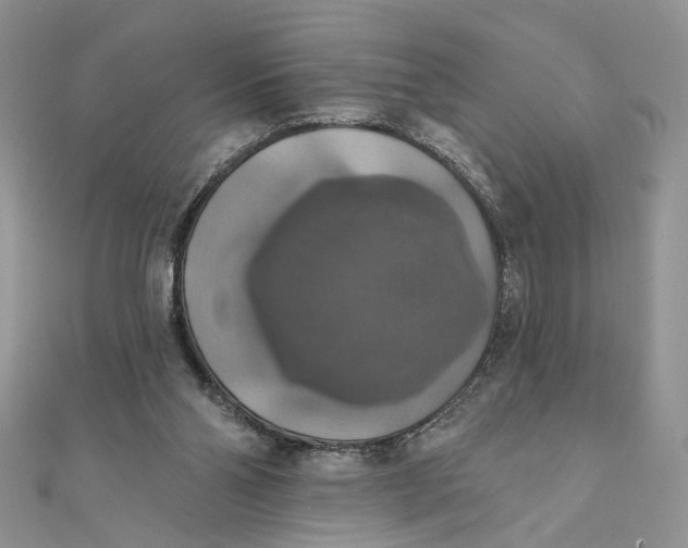 X0000111440110200908031400