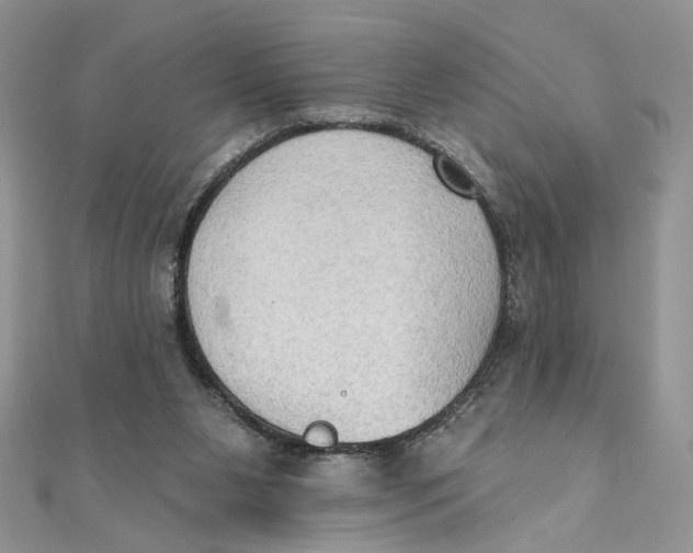 X0000111440111200908031400