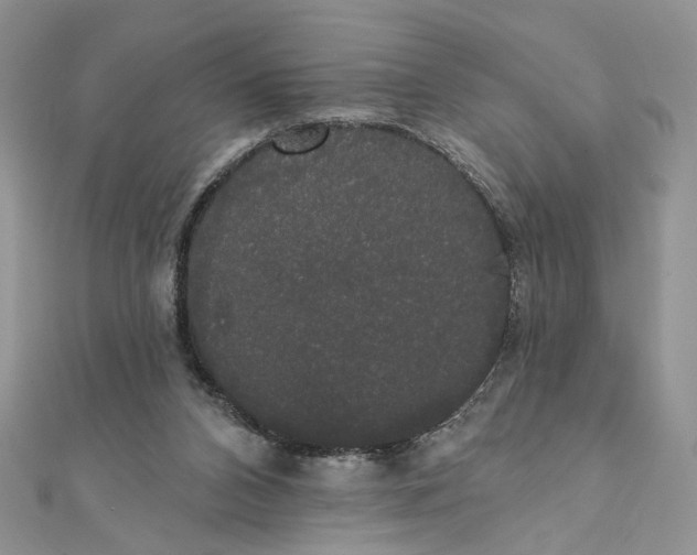 X0000111440112200908031400